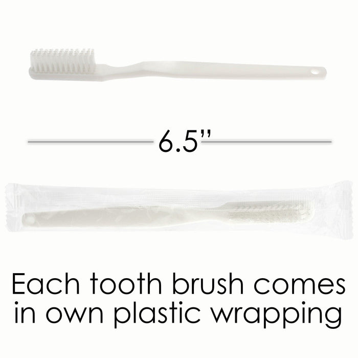 10 Piece Deluxe Wholesale Hygiene Kits - Travel Toiletry Supplies - Bulk Case of 48