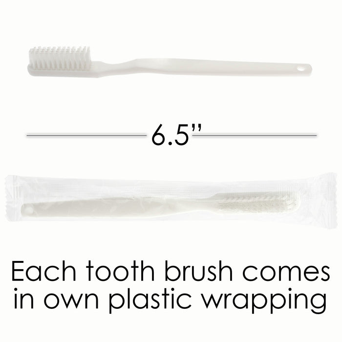 12 Piece Wholesale Hygiene Kits - Travel Toiletry Supplies - Bulk of Case of 96