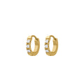 Apricity Titanium Hoops