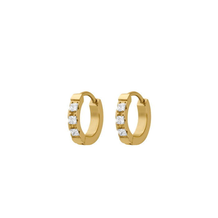 Apricity Titanium Hoops