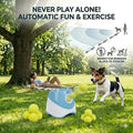 Automatic Dog Ball Launcher