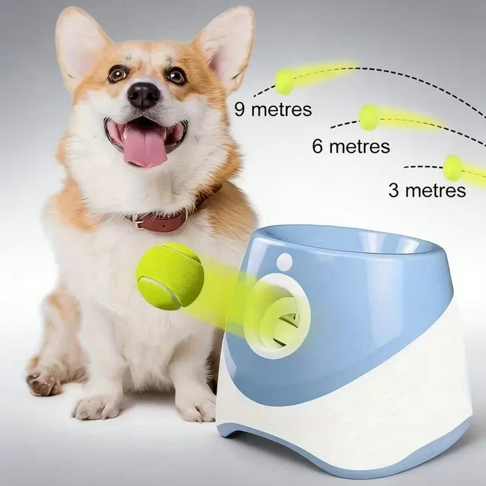 Automatic Dog Ball Launcher