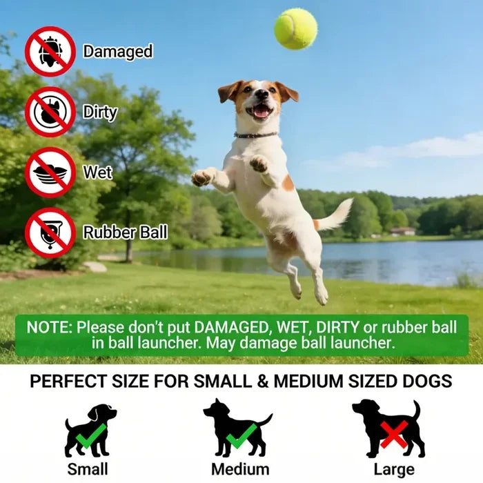 Automatic Dog Ball Launcher