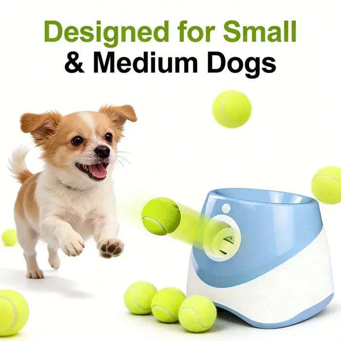 Automatic Dog Ball Launcher