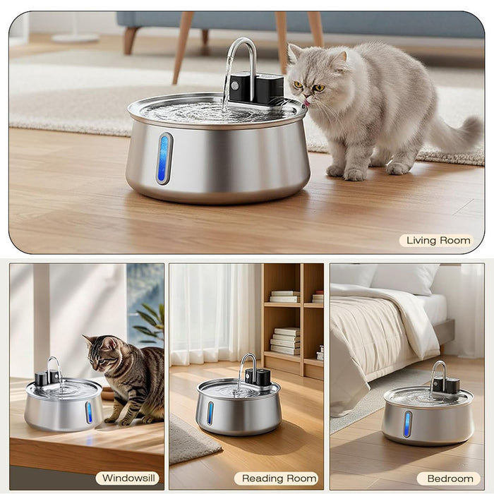 Automatic Filtered Pet Water Dispenser