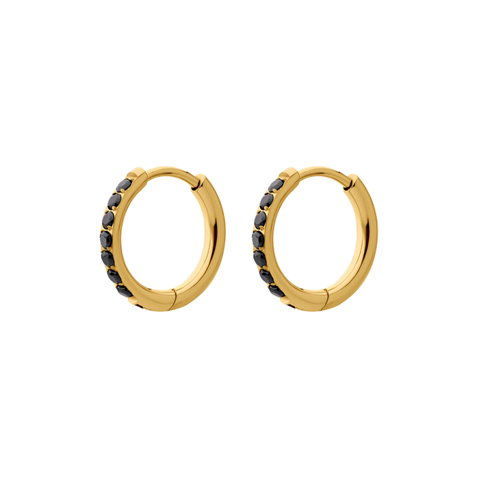 Black Titanium Celestial Hoops