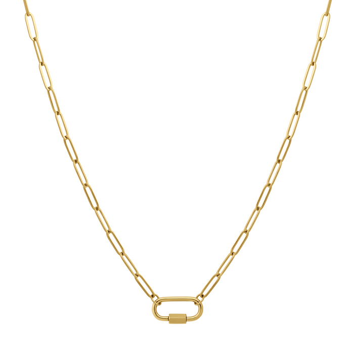 Carabiner Clasp Charm Necklace