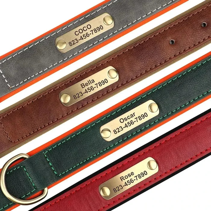 Custom Leather Dog Collar