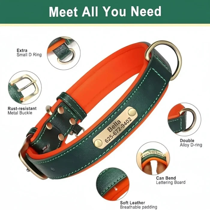 Custom Leather Dog Collar