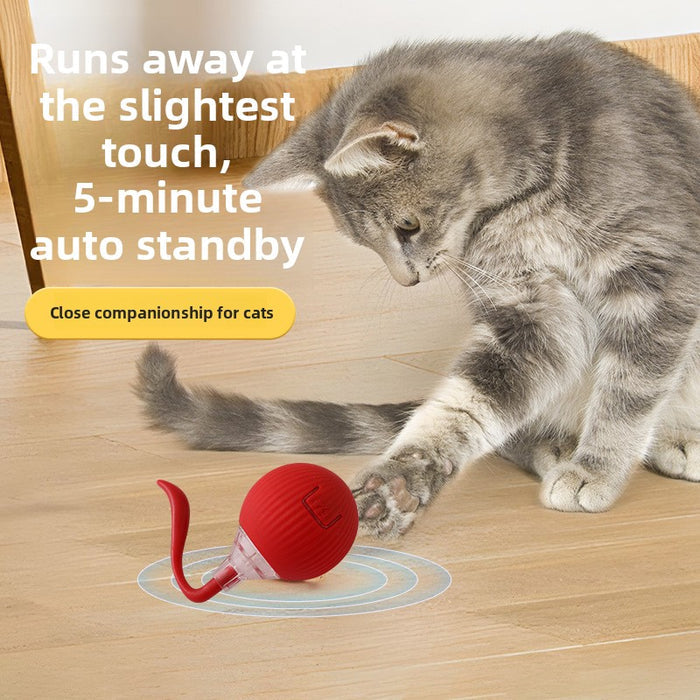 Interactive Automatic Moving Ball for Cats and Dogs