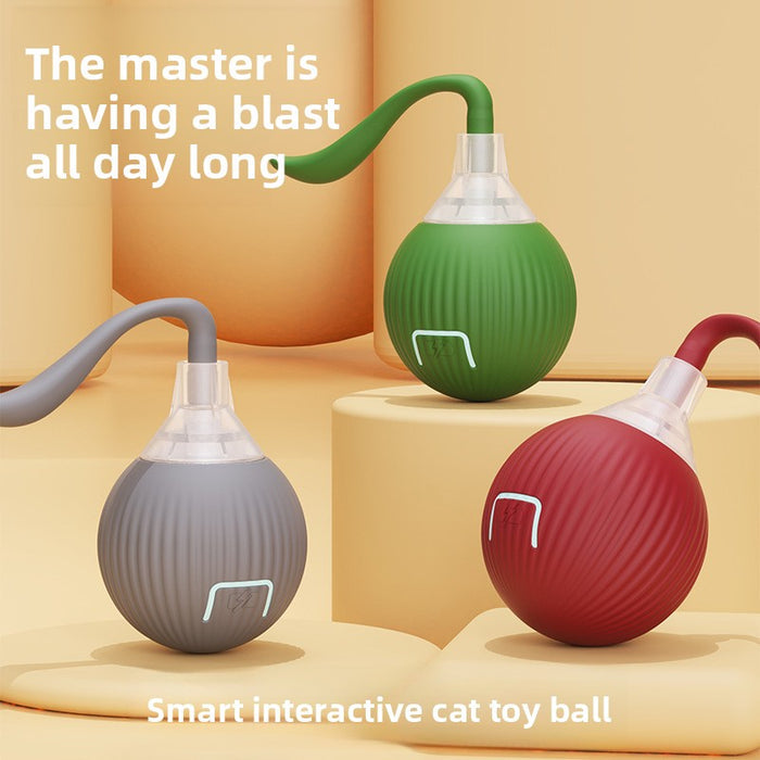 Interactive Automatic Moving Ball for Cats and Dogs