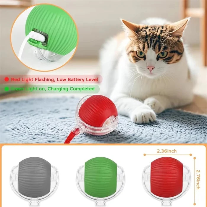Interactive Rolling Pet Toy Ball