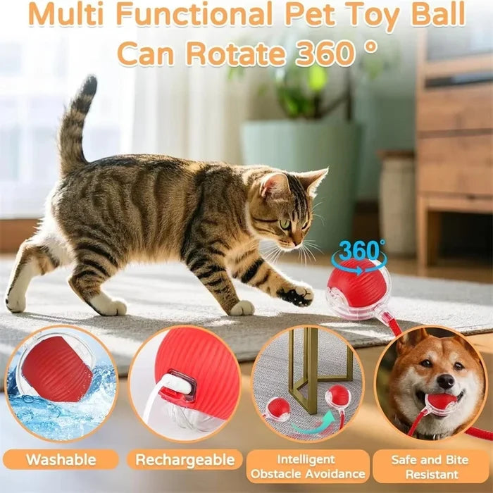 Interactive Rolling Pet Toy Ball