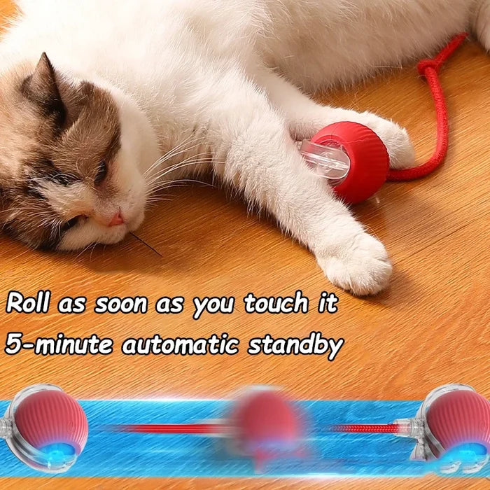 Interactive Rolling Pet Toy Ball