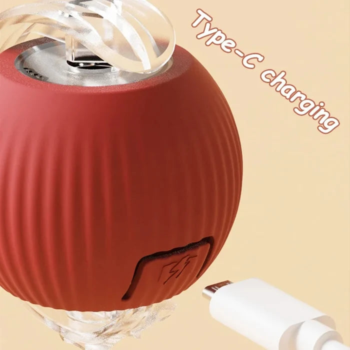 Interactive Rolling Pet Toy Ball