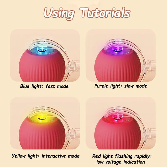 Interactive Rolling Pet Toy Ball