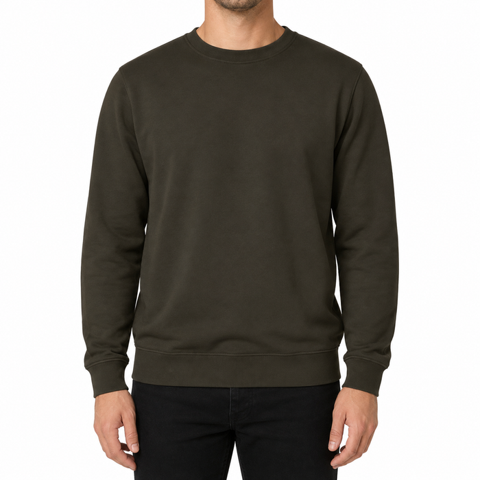 Men Basic Crew Neck Sweatshirt