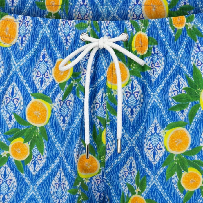 Men Classic Solid Swim Shorts