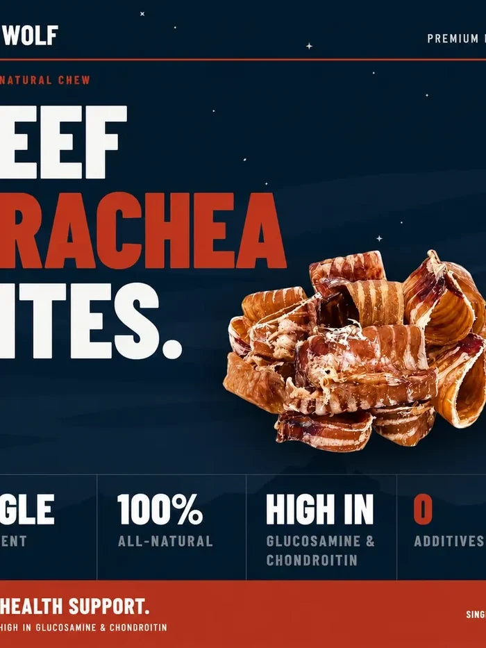 Natural Beef Trachea Dog Treat Bucket