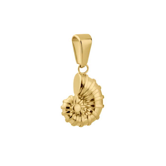 Nautilus Necklace Charm