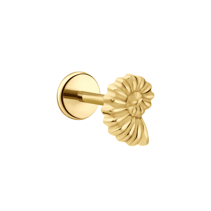 Nautilus Shell Flat Back Stud