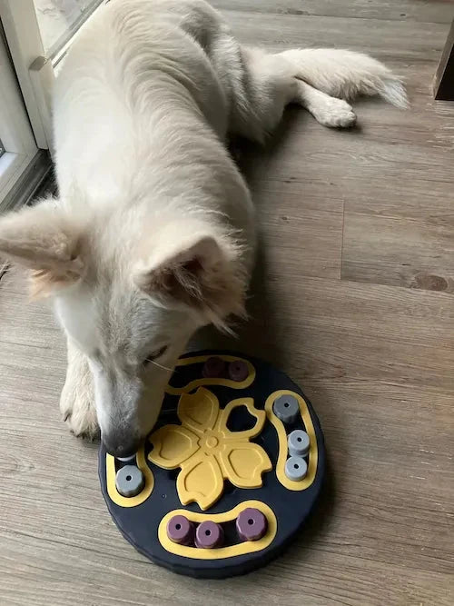 Paw Puzzle Feeder
