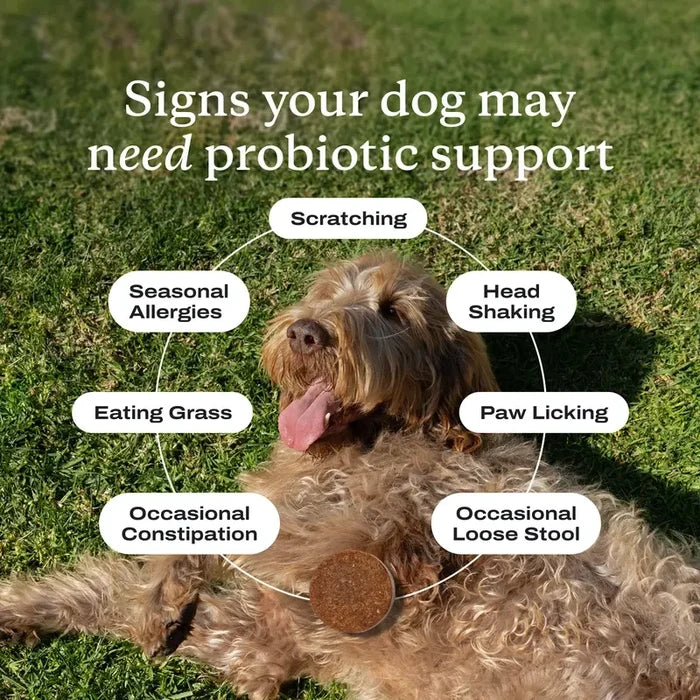 PetLab Co. Dog Probiotic Soft Chews