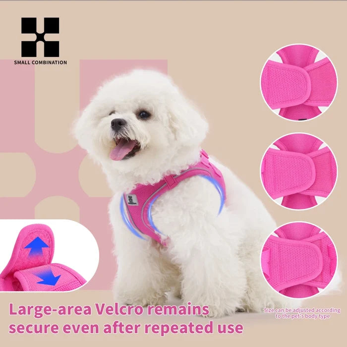 Reflective Air Mesh Dog Harness Leash Set