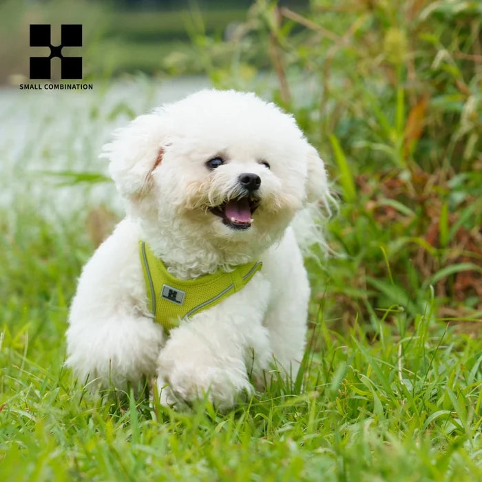 Reflective Air Mesh Dog Harness Leash Set