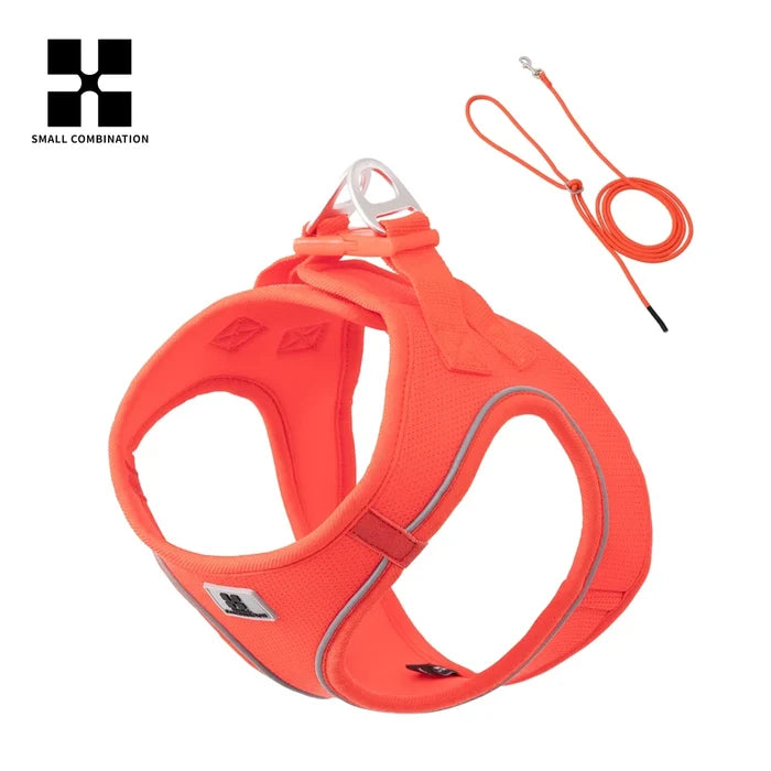 Reflective Air Mesh Dog Harness Leash Set