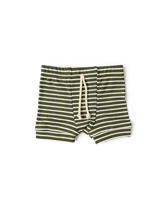 rib knit shorts CO - evergreen inverse stripe