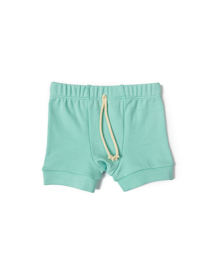 rib knit shorts CO - oasis