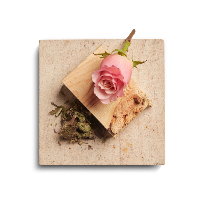 Rose 8 oz Scented Candle - Rose