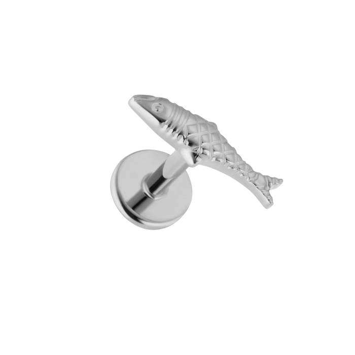 Silver titanium fish-shaped flat back labret stud on a white background