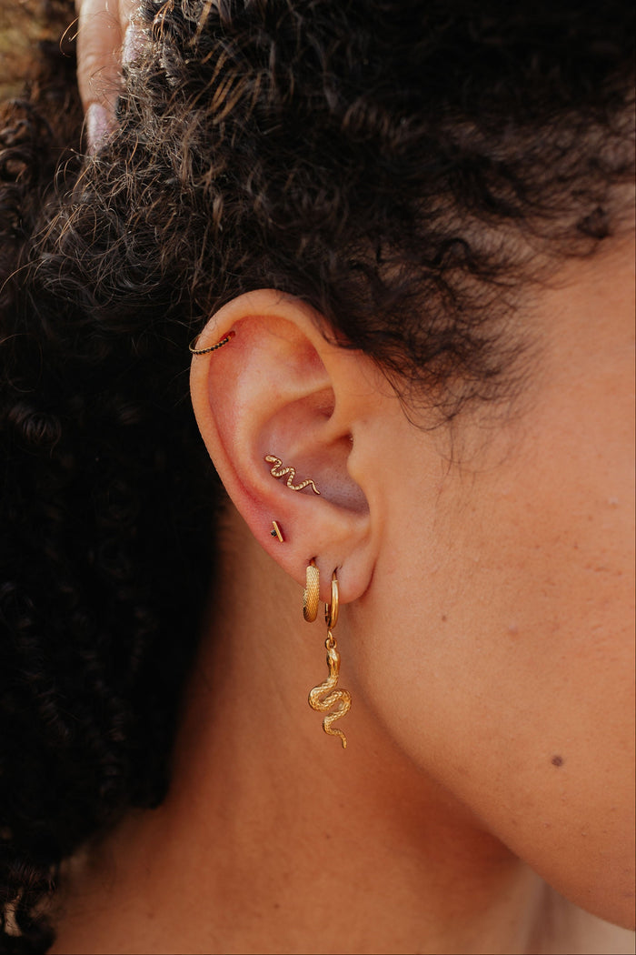 Snakeskin Hoops