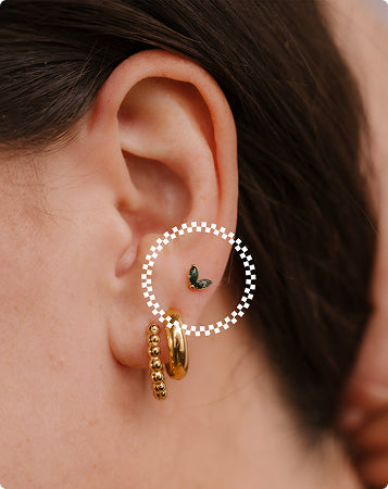 Studs of the Month Subscription Gift Box