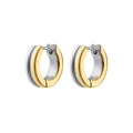 Switchback Hoops