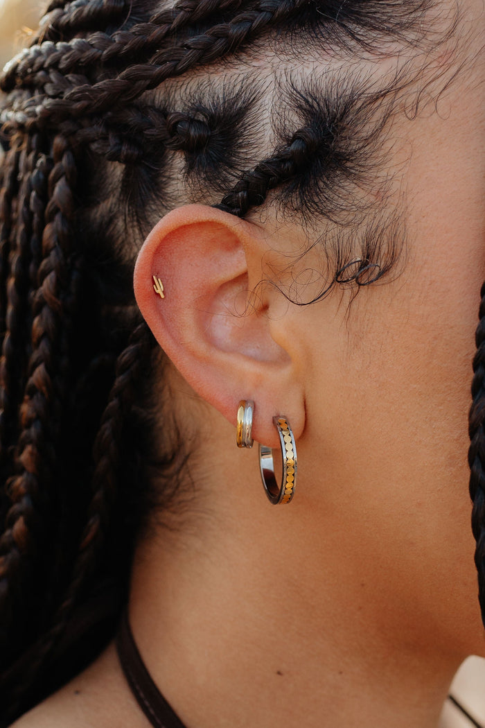 Switchback Hoops