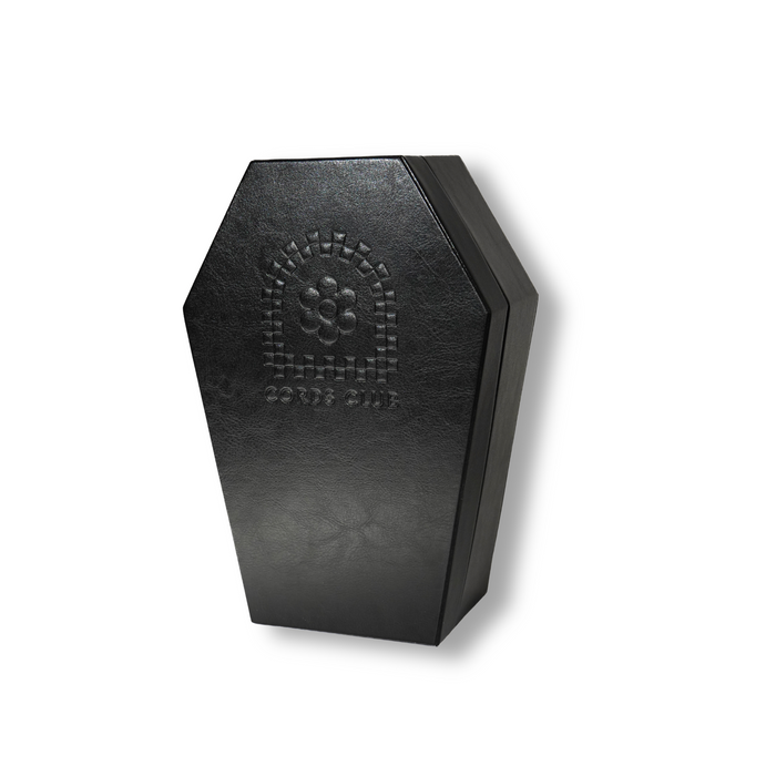 The Coffin Jewelry Box