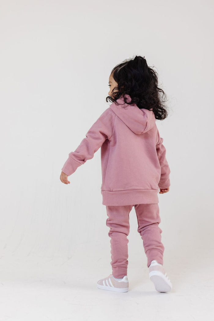 trademark raglan hoodie - fig
