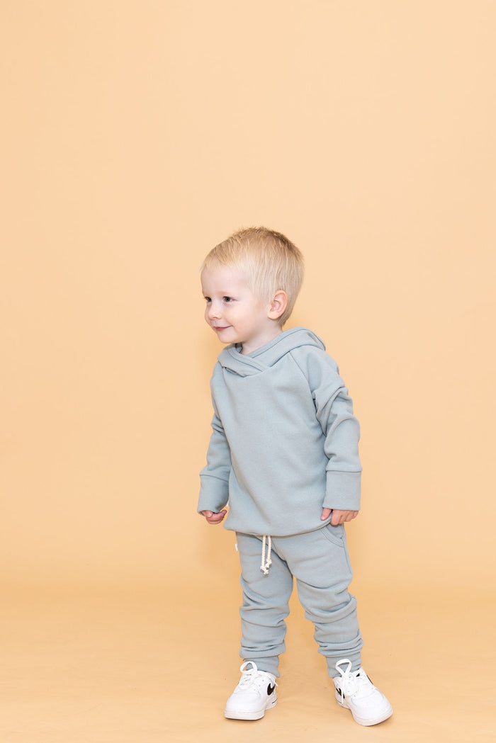trademark raglan hoodie - swell