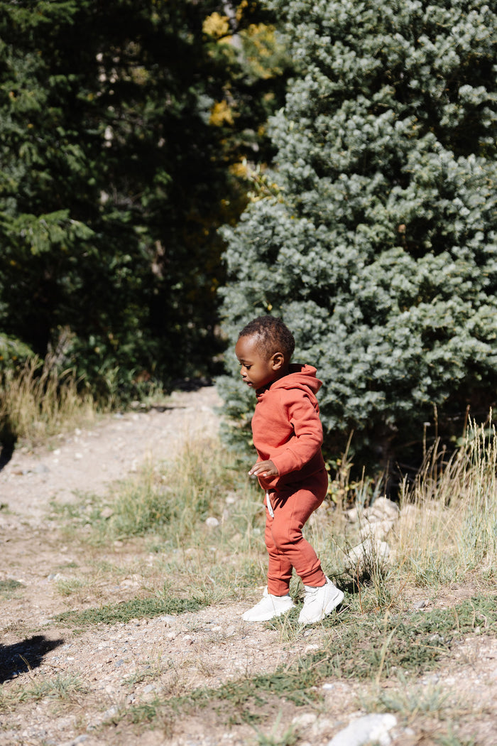 trademark raglan hoodie CO - barn red