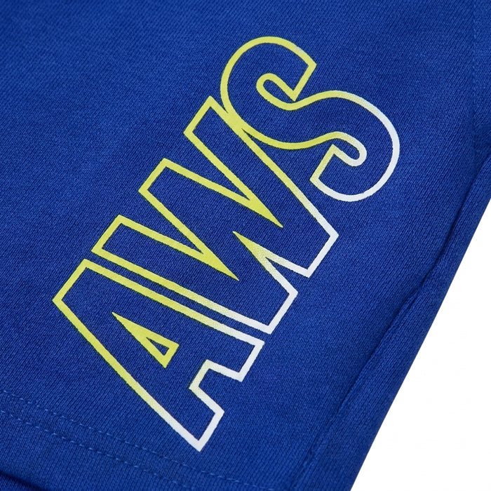 Men Performance Training Shorts