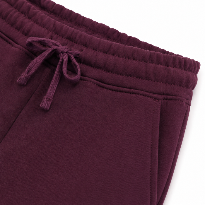 Men Solid Fleece Jogger Pants With Drawstring Waist